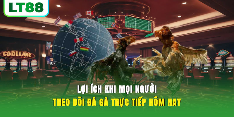 Lợi ích khi mọi người theo dõi đá gà trực tiếp hôm nay