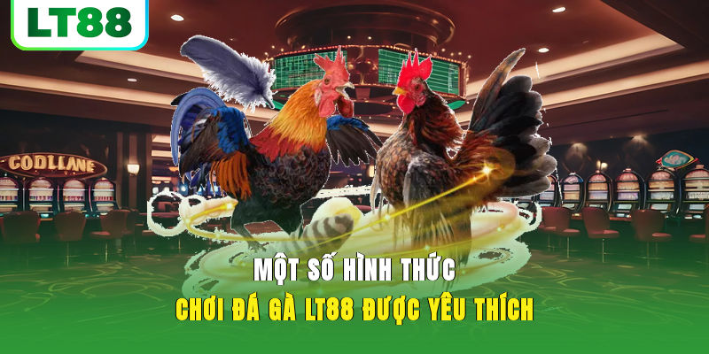 Một số hình thức chơi đá gà LT88 được yêu thích