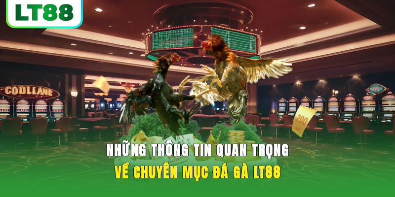 Những thông tin quan trọng về chuyên mục đá gà LT88